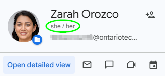 Google pronouns example